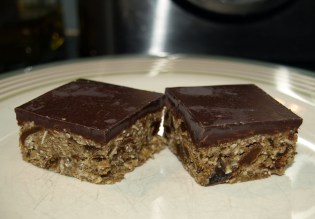 Protein bars